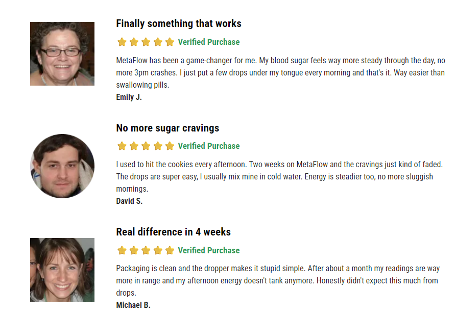 MetaFlow Blood Sugar Support 