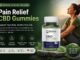 Balance Bloom CBD Gummies
